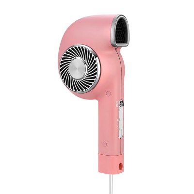 Professional Travel  Low Noise  Fast Drying Hair Dryer